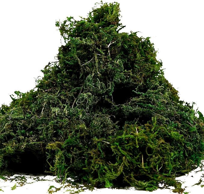 BYHER Artificial Moss Fake Green Grass for Centerpieces Home Kitchen Garden Decor (3.5OZ, Fresh)
