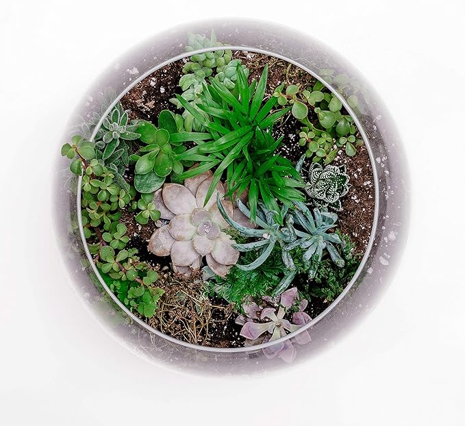 WGV Large Bowl Glass Vase, Diameter 16", Height 14", (Multiple Sizes Choices) Clear Huge Round Bubble Vase Jar, Floral Planter Terrarium for Wedding Event Home Decor, 1 Piece (VBW1614)