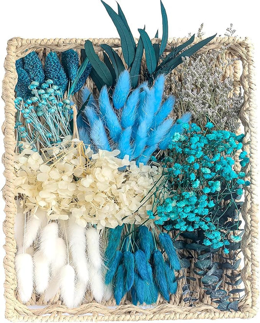 xin's convey Dried Flower with Stem for Vases, Dried Floral Bouquet, Mini Dried Flower Arrangements. (Blue)