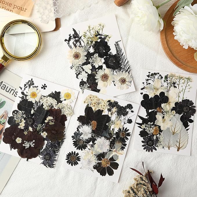 Augshy Black Dried Pressed Flowers, 120 Pcs Halloween Dried Flowers for Resin Molds Real Pressed Flowers for Crafts DIY Jewelry Molds, Scrapbooking, Candle, Soap Making