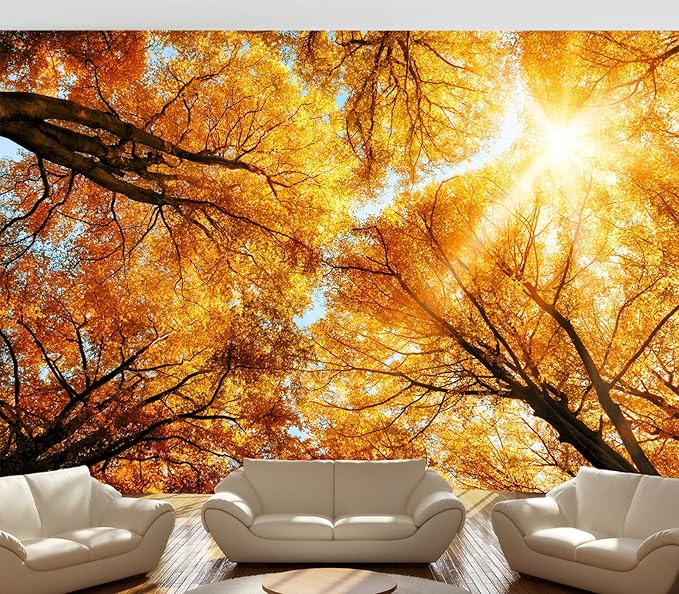 Cliouar-Warm Autumn Sun Shines Through The Golden Crowns of Tall Beech Trees Peel and Stick 160" x 114"