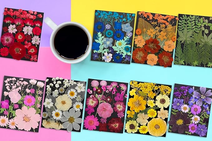 285Pcs 9 Packs Mixed Types Real Natural Dried Pressed Flowers & Leaves for Resin Molds, DIY Crafts, Jewelry Making + 100Pcs Butterfly Stickers + Tweezers
