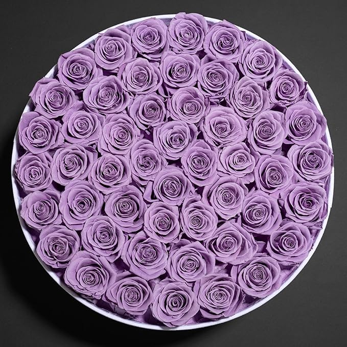 50 Piece Roses in a Velvet Box, Flowers for Delivery, Presereved Flowers Birthday Gifts for Women Mom and Wife (Lavender)