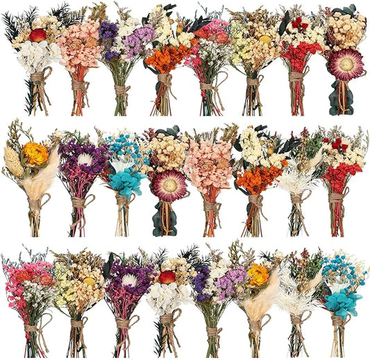 Layhit 24 Pcs Boho Dried Flower Bouquet Mini Wedding Handmade Dry Flowers Decor for Vase Crafts DIY Photo Boutonniere for Men Floral Plant for Bridesmaid Gift Birthday Decor(Colorful)