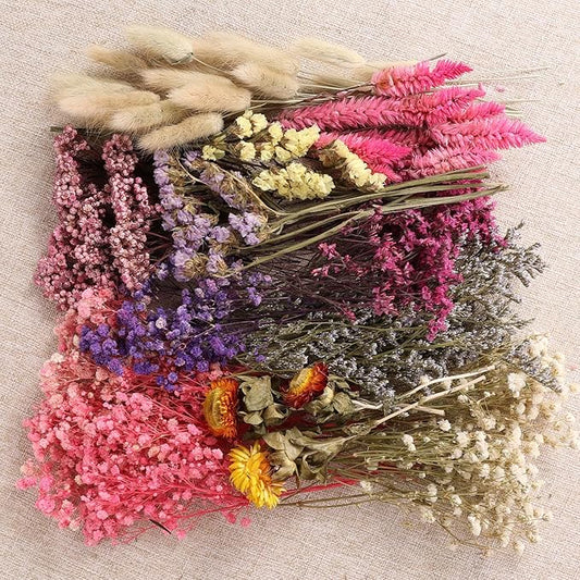 11 Kinds of Dried Flowers for Crafts Bulk DIY Natural Multi-color Dried Pampas Grass Lavender Forget Me Not Babys Breath with Stems Dry Flower Bouquets with Hemp Rope for Home Decor Floral Arrangement