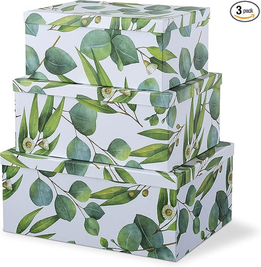 Soul & Lane Decorative Cardboard Storage Boxes with Lids for Home Decor and Organization, Set of 3 Large Keepsake Boxes for Memories & Gifts, Nesting Floral Photo Storage Containers, Sprigs Of Green
