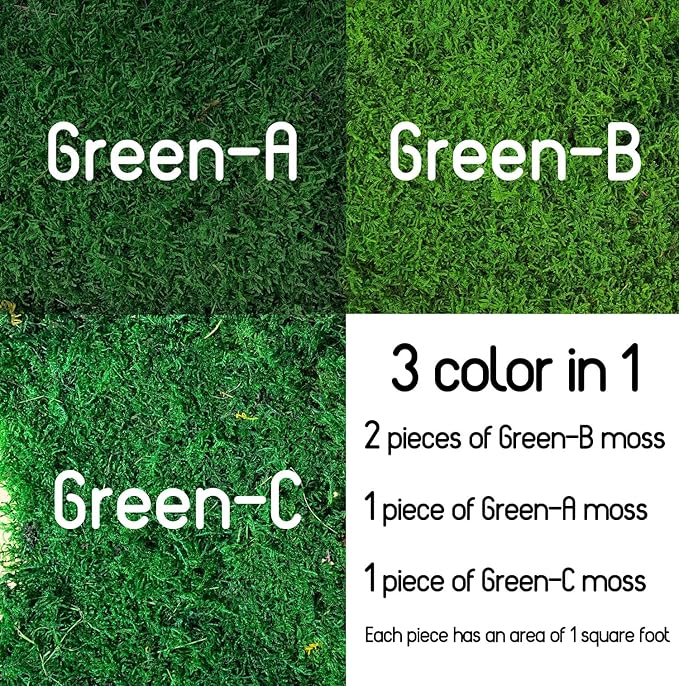 Preserved Sheet Moss Natural Green Decorative Real Natural Green DIY Kit Gardenning Art Wall Decor Florist Decor Easter Table Decor Wedding(4 sq.ft.) (Green-A,Green-B,Green-C)