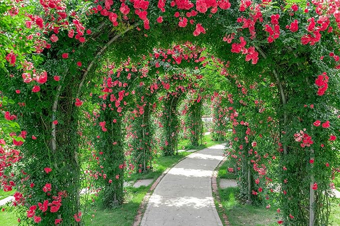 15ftx8ft Spring Flower Garden Backdrop Blossoms Flower Arch Garden Architecture Pillars Blooming Flowers Garden Path Photo Background Outdoor Wedding Portraits Photo Studio Props Wallpaper