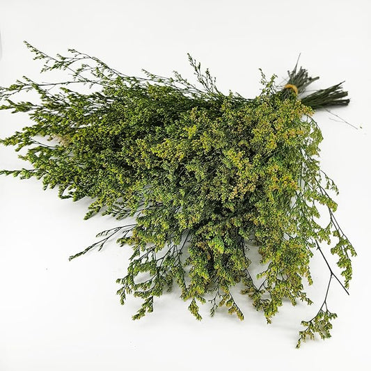 Birtlynn Preserved Caspia Statice Flower Bouquets, 100% Natural Long Lasting Flowers, 17 Inch Arrangements for Vase, Home Decoration Photo Props Parties and Weddings, DIY Décor-Statice Green