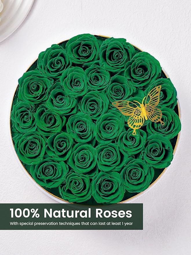 Preserved Roses Forever Flowers Real Roses in a Box Mother's Day Birthday Flowers for Her Mom Women Wife Valentine's Day, Green, 27 Piece
