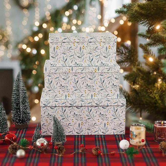Soul & Lane Decorative Cardboard Storage Boxes with Lids for Home Decor and Organization, Set of 3 Large Keepsake Boxes for Memories & Gifts, Nesting Floral Photo Storage Containers, Winter Blossom