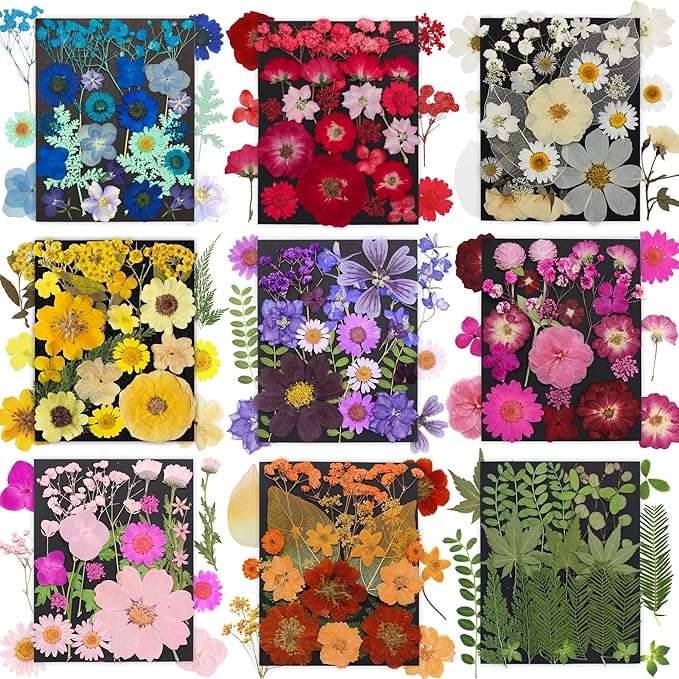 285Pcs 9 Packs Mixed Types Real Natural Dried Pressed Flowers & Leaves for Resin Molds, DIY Crafts, Jewelry Making + 100Pcs Butterfly Stickers + Tweezers