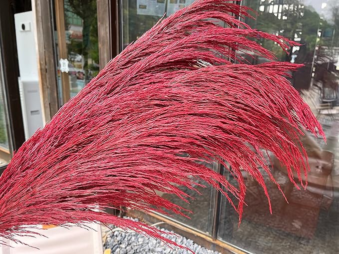 Pampas Grass Decor Tall,Long Pampas, Large Pompas Floral, Elegant Feather Flowers for Wedding Decorations, Living Room Decor (Natural Red, 4pcs 43.3"(110cm))